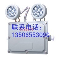 供应BCJ防爆照明应急双头灯(ⅡB) 